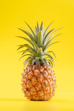 Parlak sarı arka plan izole güzel taze ananas, yaz mevsim meyve tasarım fikir desen kavramı, kopya alanı, yakın