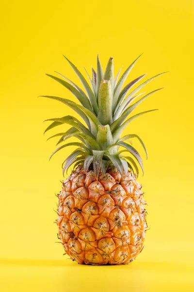Parlak sarı arka plan izole güzel taze ananas, yaz mevsim meyve tasarım fikir desen kavramı, kopya alanı, yakın