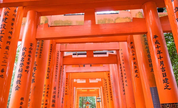 Кіото, Японія-Березень. 22, 2019: Awesome і красиві Senbon torii в Fushimi Інарі Taisha Shrine храм, зображення подорожей в весняній — стокове фото