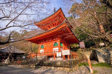 Wakayama, Japonya - Mart. 27, 2019: Güzel Kimiidera (Kimii tapınak) baharda sakara (Kiraz Çiçeği) tomurcuk, wakayama bahar seyahat görüntü