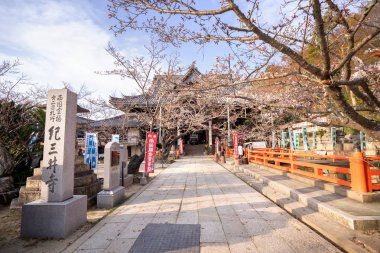 Wakayama, Japonya - Mart. 27, 2019: Güzel Kimiidera (Kimii tapınak) baharda sakara (Kiraz Çiçeği) tomurcuk, wakayama bahar seyahat görüntü