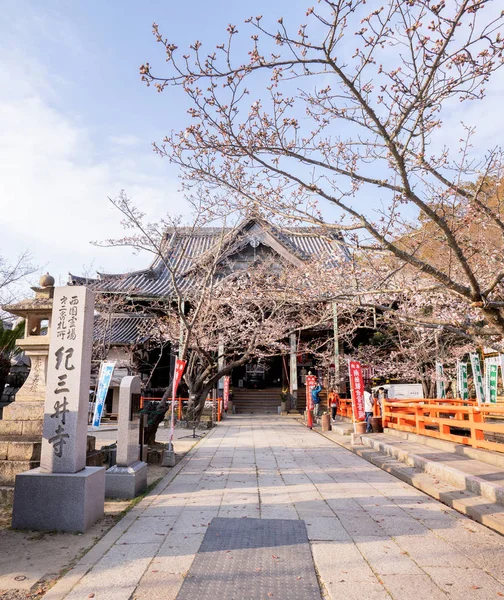 瓦卡山，日本 - 3月。27， 2019： 美丽的Kimidera （基米寺） 在春天与萨卡拉 （樱桃花） 芽， 春天旅游图像在瓦卡山 — 图库照片