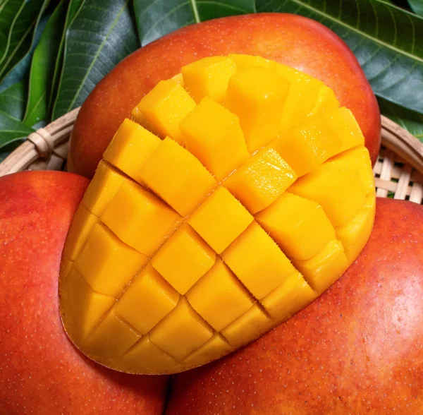 Verse mango-sappig blokjes fruit in bamboe zeef op groene kleur bladeren achtergrond. Tropisch zomer concept. Bovenaanzicht, close-up, macro, kopieer ruimte. — Stockfoto