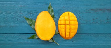 Taze mango-koyu mavi ahşap arka planda yeşil yaprakları ile güzel doğranmış meyve. Tropikal meyve tasarım kavramı. Düz yatıyordu. Üst görünüm. Boşluk Kopyala