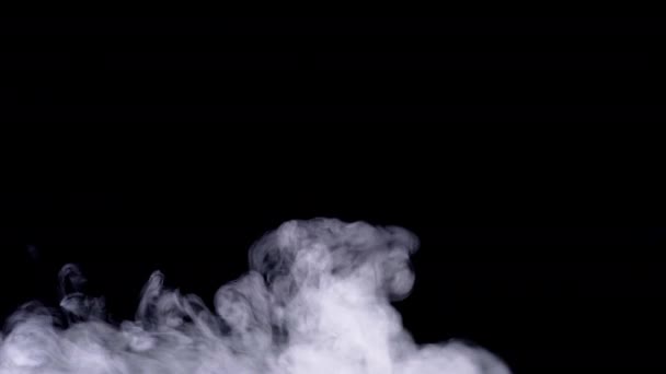 Realistisk Rök Dimma Haze Isolerad Svart Bakgrund Skärmläge För Blandning — Stockvideo