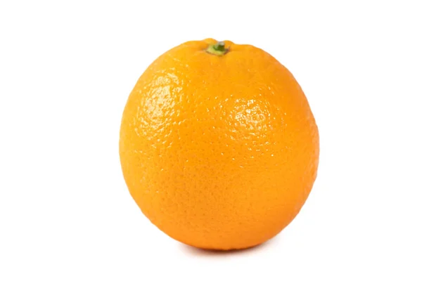Mooie Gemeenschappelijke Oranje Geïsoleerd Witte Achtergrond Clipping Pad Uitgesneden Close Rechtenvrije Stockafbeeldingen