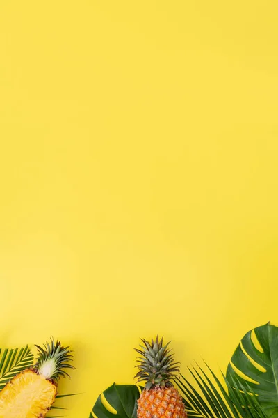 Beautiful Pineapple Tropical Palm Monstera Leaves Isolated Bright Pastel Yellow — Stock Photo, Image