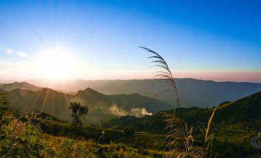 Mountain view akşam Doi Pha Tang, Chiang Rai, Tayland.