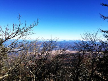 gökyüzü orman Yükseklik ağaç