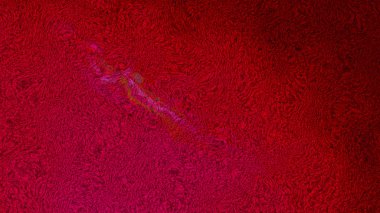 Koyu kırmızı yün bez arka plan