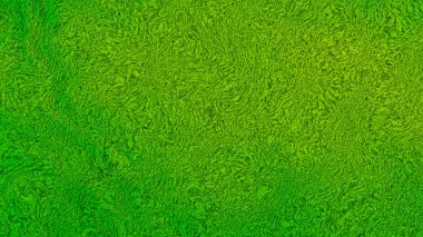 Yeşil yün kumaş doku arka plan