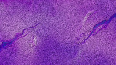 Mor Fleece kumaş doku arka plan