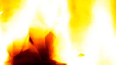 Flames beyaz arka plan