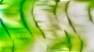 Yeşil ve Beyaz Doku Arka Plan Görüntüsü