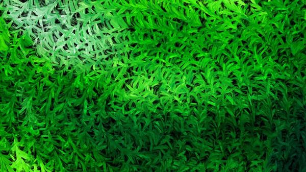 Neonová zelená textura pozadí — Stock fotografie