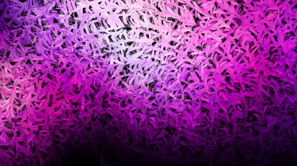 Фиолетовый и черный фон — стоковое фото