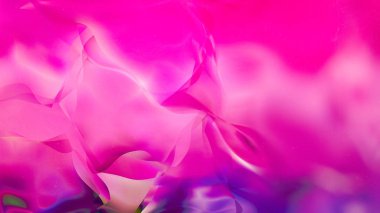 Pembe Mor Mor Arka Plan