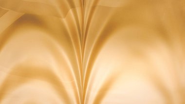 Sarı Turuncu Yakın Çekim Arkaplanı