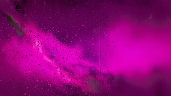 Fialový růžový pozadí — Stock fotografie