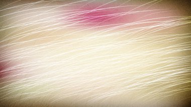 Kürk Close-up Bej Arka Güzel zarif İllüstrasyon grafik sanat tasarımı