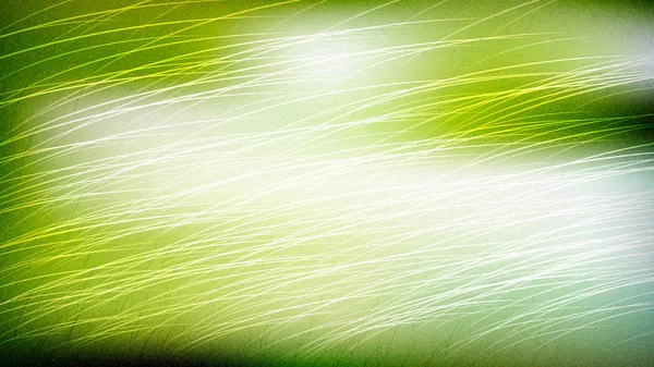 Зелений Трава Листя Фон Красивий Елегантний Ілюстрація Графічний Дизайн — стокове фото