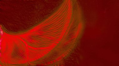 Kırmızı turuncu Maroon arka plan güzel zarif Illüstrasyon grafik sanat tasarım