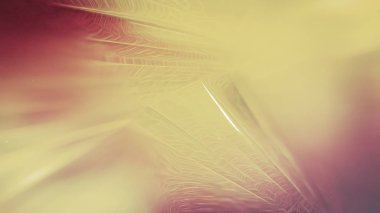 Pembe sarı yeşil arka plan güzel zarif Illüstrasyon grafik sanat tasarım