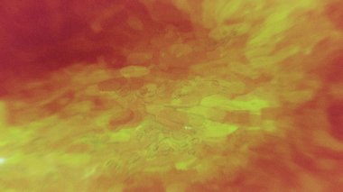 Turuncu yeşil kırmızı arka plan güzel zarif Illüstrasyon grafik sanat tasarım