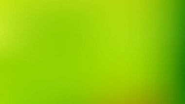 Lime Yeşil Kurumsal Sunum Arka Plan