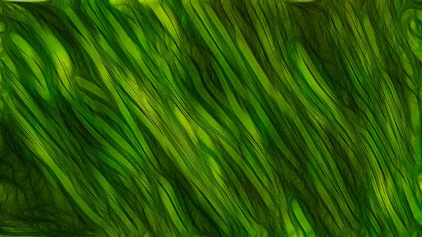 Fundo Textura Verde Preto Belo Design Arte Gráfica Ilustração Elegante — Fotografia de Stock