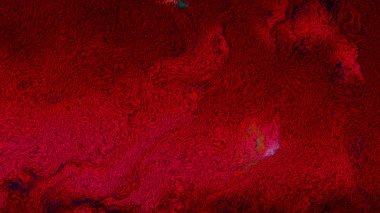 Koyu Kırmızı Yün Keçe Kumaş Doku Güzel zarif İllüstrasyon grafik sanat tasarımı