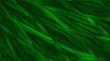 Yeşil ve Siyah Dokulu Arka Plan Görüntü Güzel zarif İllüstrasyon grafik sanat tasarımı