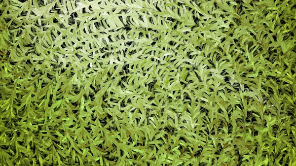 Textura Verde Imagem Fundo Belo Elegante Ilustração Design Arte Gráfica — Fotografia de Stock