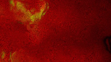 Kırmızı ve Turuncu Halı Doku Güzel zarif İllüstrasyon grafik sanat tasarımı