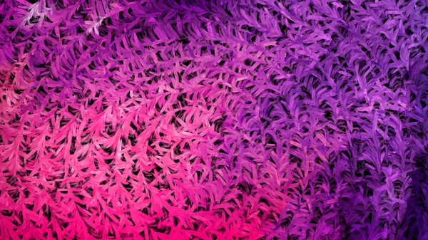 Różowy Fioletowy Tekstura Tło Piękny Elegancki Ilustracja Graficzny Sztuka Projekt — Zdjęcie stockowe