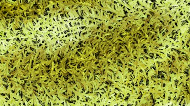 Yeşil Dokulu Arka Plan Güzel zarif İllüstrasyon grafik sanat tasarımı