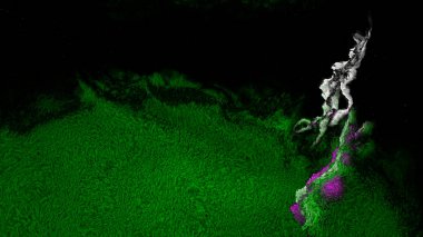 Yeşil ve Siyah Halı Kumaş Doku Güzel zarif İllüstrasyon grafik sanat tasarımı