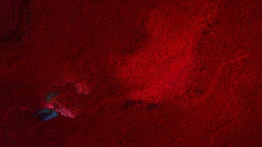 Koyu Kırmızı Yün Halı Doku Güzel zarif İllüstrasyon grafik sanat tasarımı