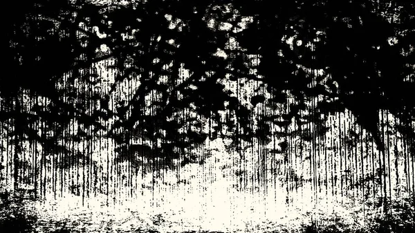 Μαύρο Και Λευκό Βρώμικο Γκραντζ Υφή Φόντου Εικόνα Όμορφη Κομψή — Φωτογραφία Αρχείου
