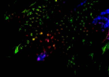 grafik renkli soyut arkaplan, kopyalama alanı