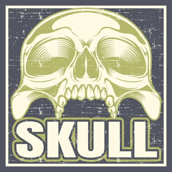 Skull_vector