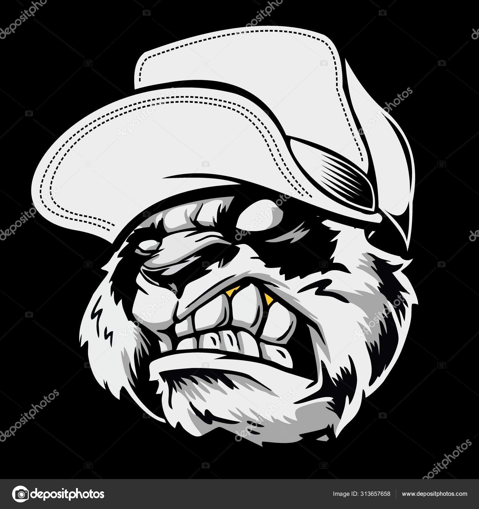Angry Panda Head Wearing A Hat.Vector Hand Drawing, Shirt Designs.