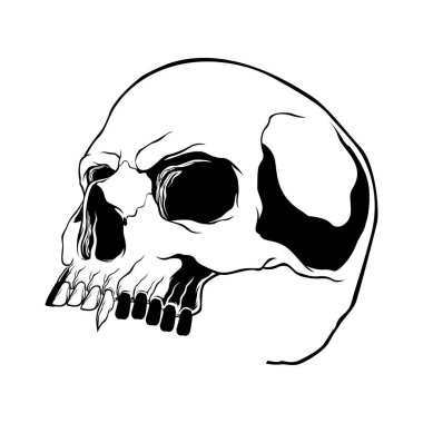 Kafatası Vektör illüstrasyon, El Çizilmiş Kafatasları Koleksiyonu, Hard Core Skull Vector Art