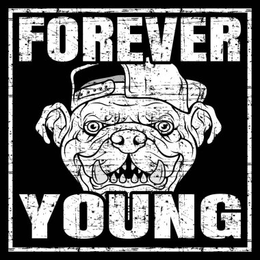 Genç ve tehlikeli hakkında grunge stili vektör alıntısı. Kaput eli çizim vektörü takan bulldog.