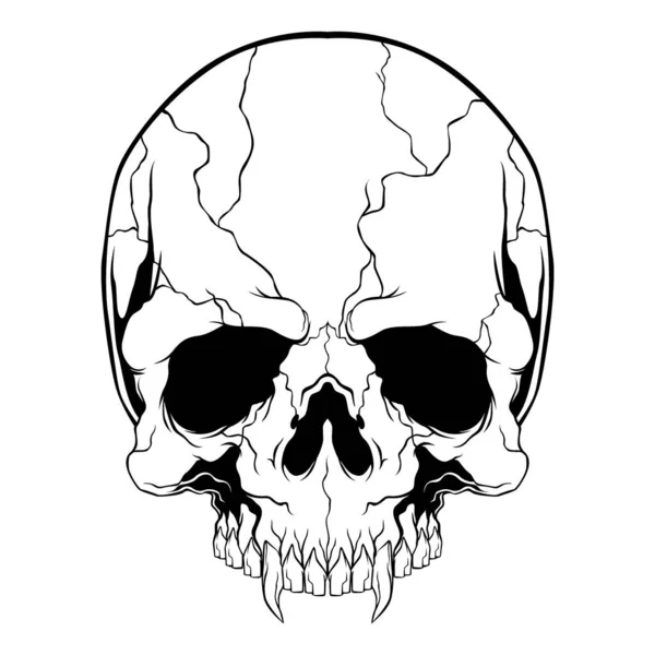 Calavera, .vector dibujo a mano, diseños de camisas, motorista, disc jockey, caballero, peluquero y muchos otros.aislado y fácil de editar. Ilustración de vectores - Vector — Vector de stock