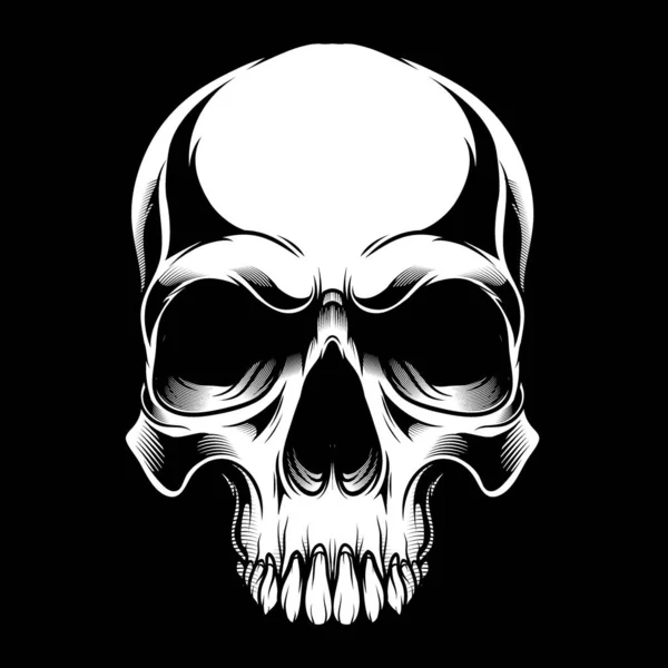 Calavera, .vector dibujo a mano, diseños de camisas, motorista, disc jockey, caballero, peluquero y muchos otros.aislado y fácil de editar. Ilustración de vectores - Vector — Vector de stock