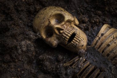 Kafatasları, çürüyen yaprakların hurda yığınındaki iskeletler. (Hala Lif