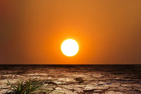 Солнце пустыни и засушливая земля . — стоковое фото