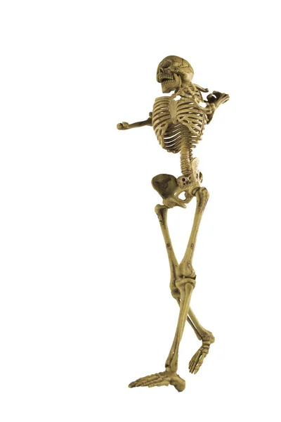 Esqueleto humano isolado sobre fundo branco. — Fotografia de Stock