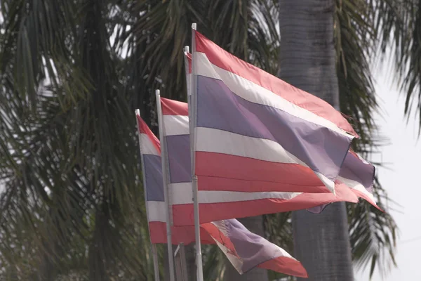 The Thailand flag in the wind.